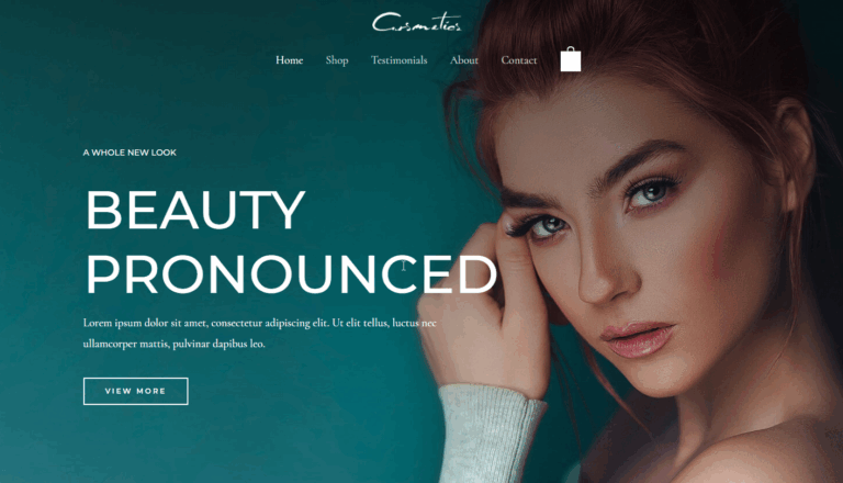 Commerce & Conversion UI