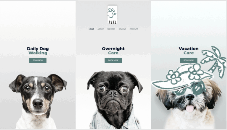 Custom Web Interface